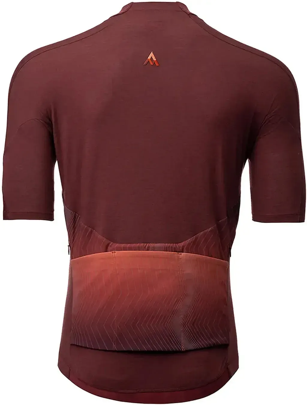 Ashlu Merino Short Sleeve Jersey - Men's|-|Chandail à manches courtes en laine mérinos Ashlu - Homme