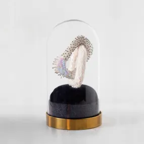 Lesson II Glass Dome - Gillian Bencke
